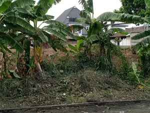 100 Plots of Land