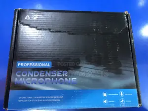 Professional Condenser Mic