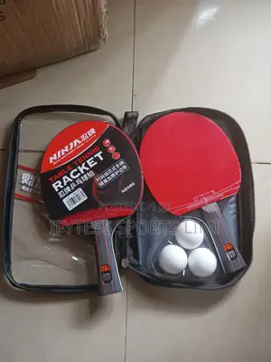 Ninja Table Tennis Bat and Eggs