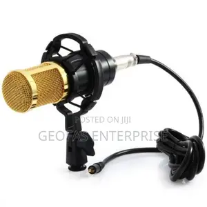 Audio Mic Studio Sound Recording Microphone