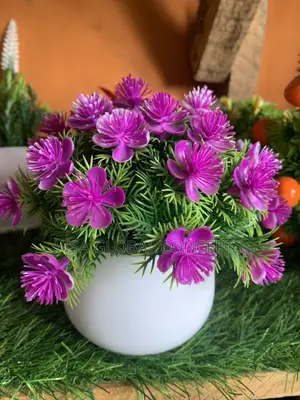Beautiful Flower,Stone and Pot