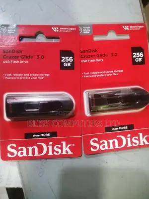 256gb 3.0 Flash Drive