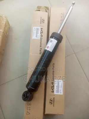 Hyundai Santa Fe 2018-2022 Rear Shock Absorber 55367-S1150