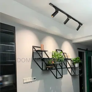 Adjustable Track Light