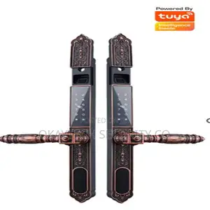 Waterproof Villa Smart Fingerprint Outdoor Lock