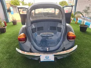 Volkswagen Beetle 1968 Blue