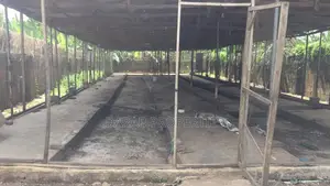 Poultry for Sale in Otta