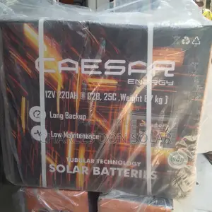 Caesar Tubular Battery 220ah