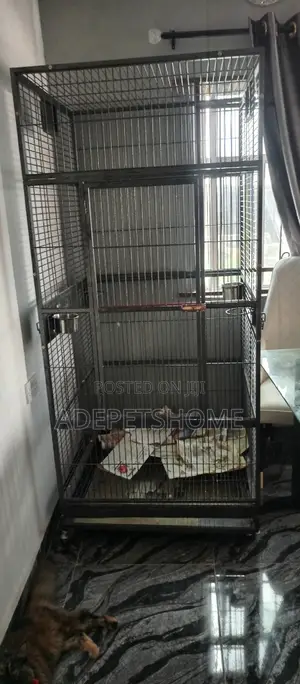 Large Parrots Cage for Sale