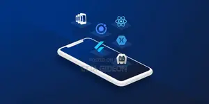 Full Stack Web Developer