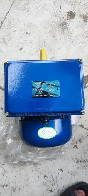Electric Motor