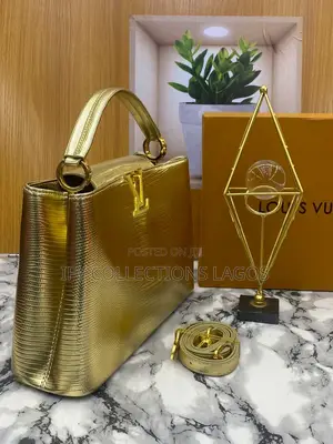 Louis Vuitton Luxury Handbags