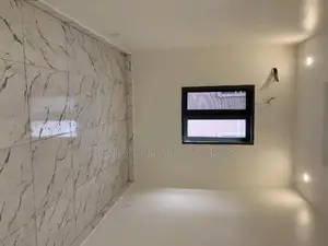 Professional Painter
