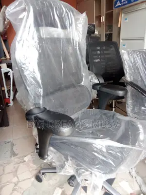 Bg Egornomic Swivel Chair