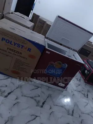 Reliable Polystar Chest Freezer With Low Removable Baskets