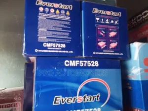 12v 75ah Everstart Original Korea Battery
