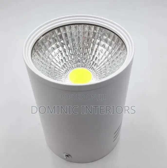 Downlight Led Ceiling Spot Light