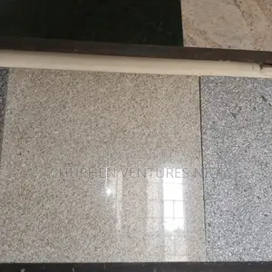 Ivory Gold and Ivory White 60*60 Granite 1cm Tickness Tile