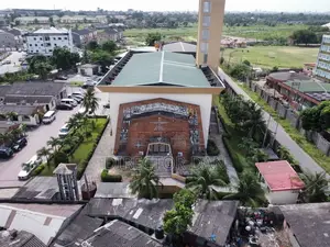 Drone Pilot Wedding, Real-Estate, Documentary