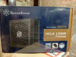 Silver Stone 1300watts