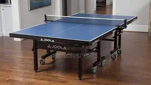 Small Wheel Joola Table Tennis Board