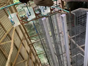 Battery Cage