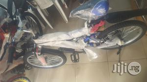 Adult Bicycle