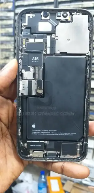 13 Pro Casing