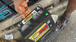 Maxx Ever Start Battery