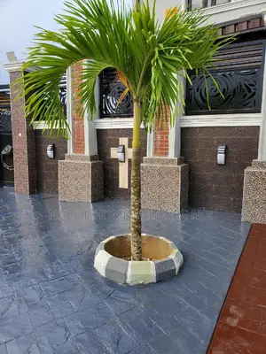 Luxury Stamped Concrete Floor Design