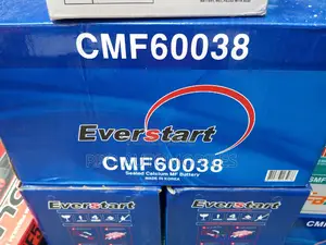 12v 100ah Everstart Original Korea Battery