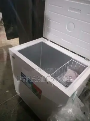 Skyrun 200l Freezer