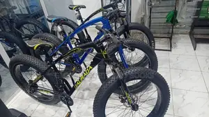 Fat Giant Tyre Bike Bicycle
