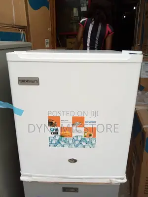 Skyrun Bed Side 55L Fridge
