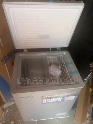 Skyrun Freezer 100L Silver (100HNM)