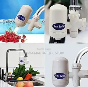 SWS Instant Water Purifier With Ceramic Faucet