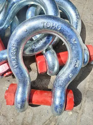 Shackle 25 Ton With Pin