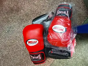 Professional Twins Boxing Gloves