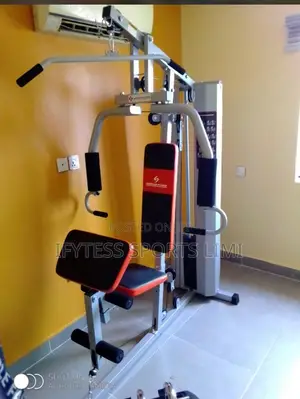 One Station Gym With Cover