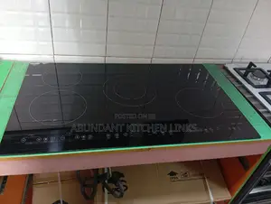 Built-in Electric Cooker.