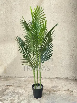 Palm Flower