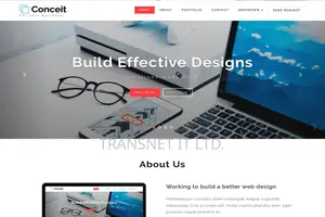 Business/Corporate Website Design