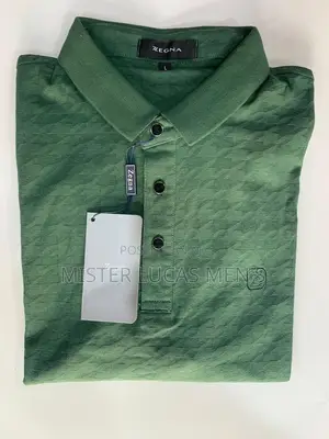 Original ZEGNA T. Shirts