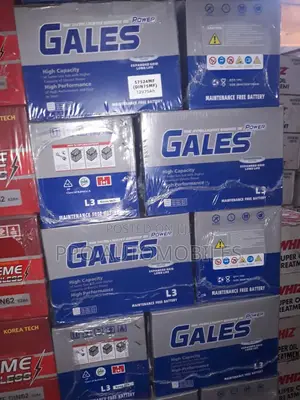 12v 75ah Gales Mf Battery.