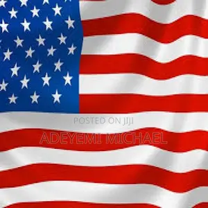 Get a USA Visa in 12 Weeks