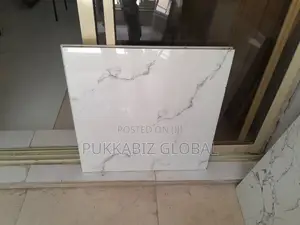 Goodwill 60 X 60 Floor Tile