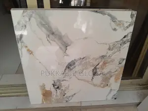 60 X 60 Goodwill Tiles