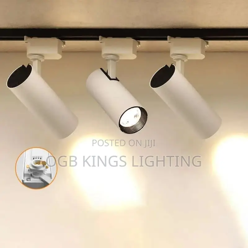 LED Track Light 30watts 3in1