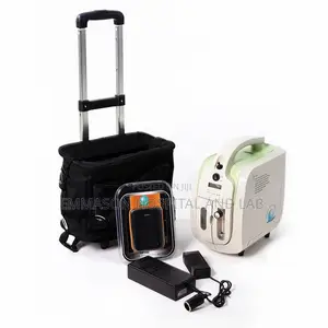 Oxygen Concentrator With Battery Back Up