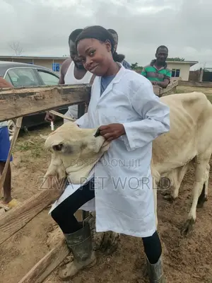 Veterinary Services And Consultation